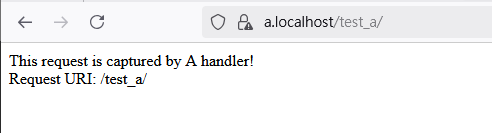 /marcel/zoraxy/raw/branch/plugin_doc/docs/plugins/html/3.%20Basic%20Examples/img/3.%20Static%20Capture%20Example/image-20250530165014188.png