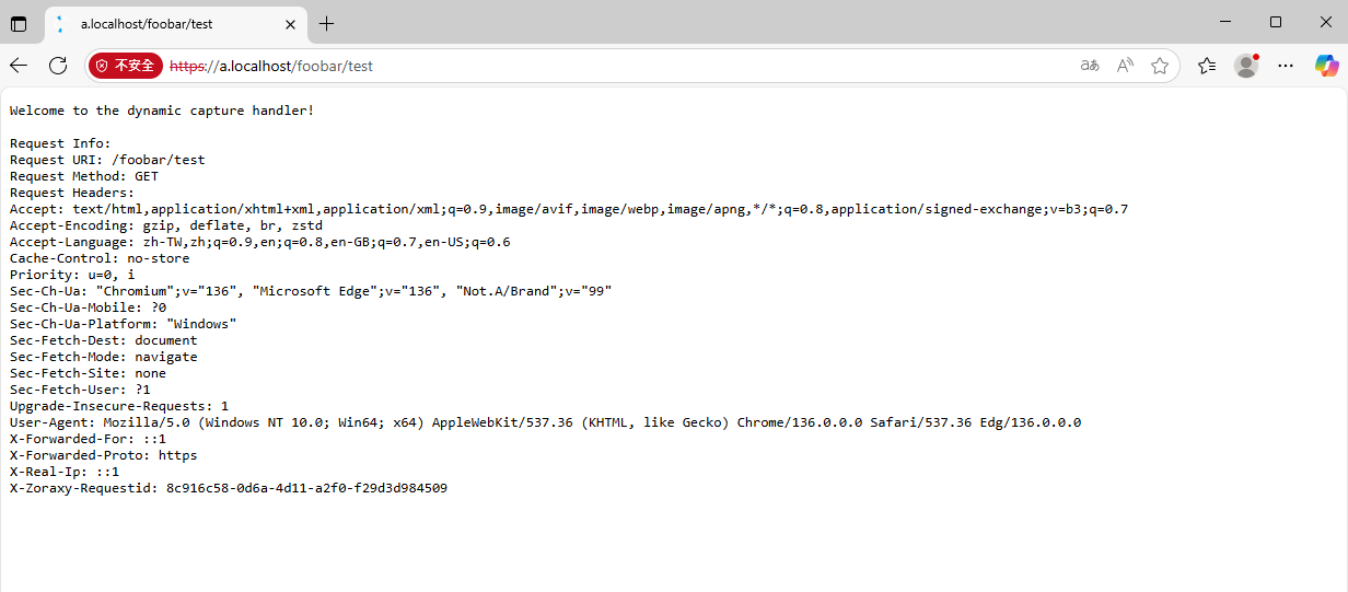 /marcel/zoraxy/raw/commit/74a816216e7683c36fc05112cd8ea83c8fbae217/docs/plugins/html/3.%20Basic%20Examples/img/4.%20Dynamic%20Capture%20Example/image-20250530205430254.png